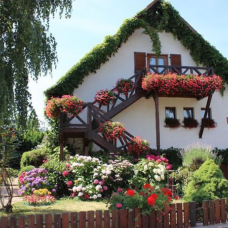 Apartment Route Du Vin Centre Alsace Orschwiller Quarto foto