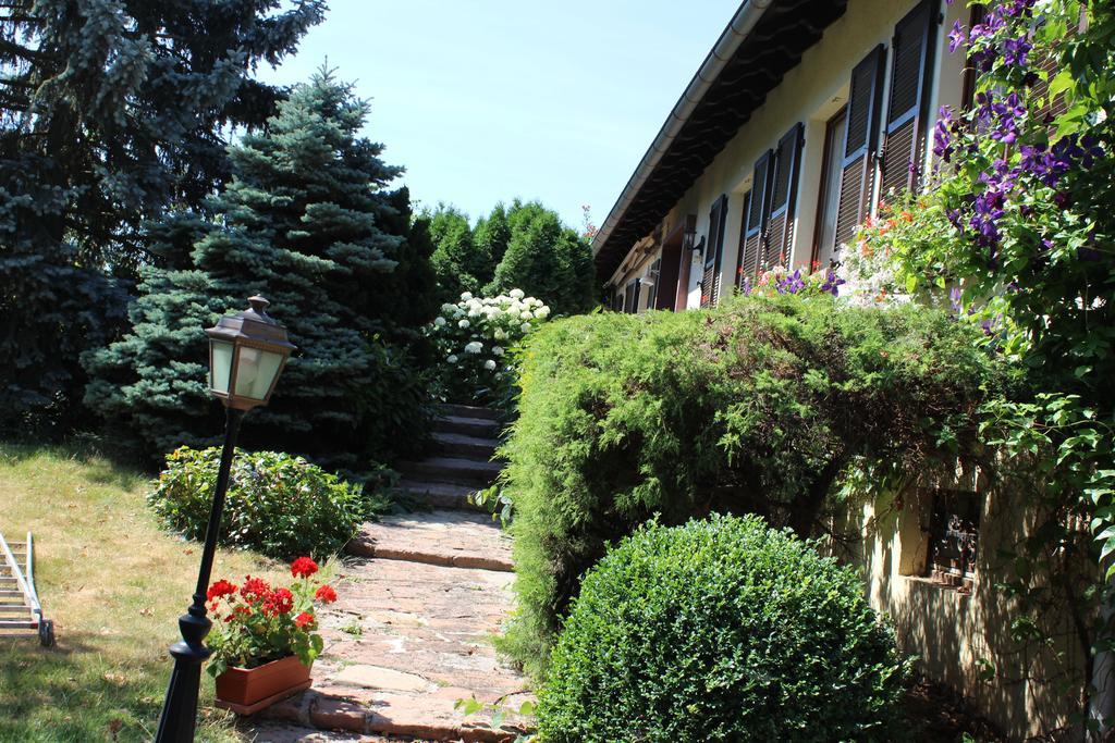 Apartment Route Du Vin Centre Alsace Orschwiller Quarto foto